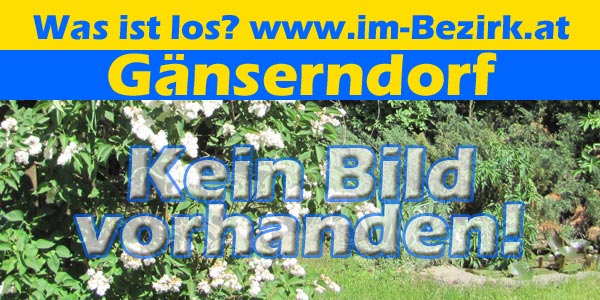 keinbild2018 Leider kein Bild vorhanden!