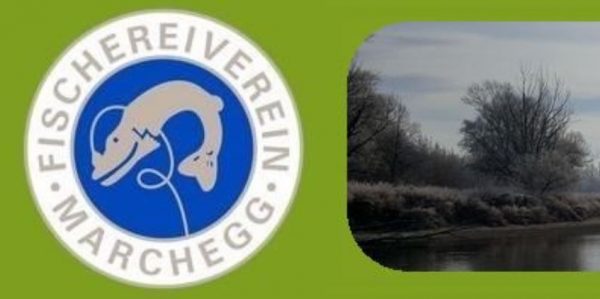 Fischereiverein-Marchegg