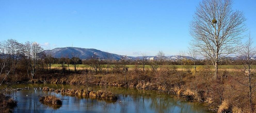 Marchfeldkanal: Wasser für die heimische Kornkammer