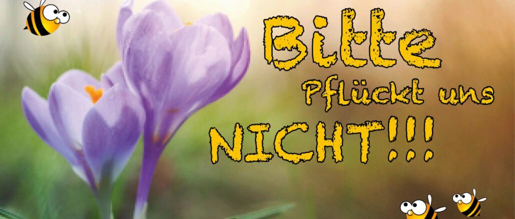 BIO-Imkerei Blütenstaub