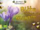BIO-Imkerei Blütenstaub