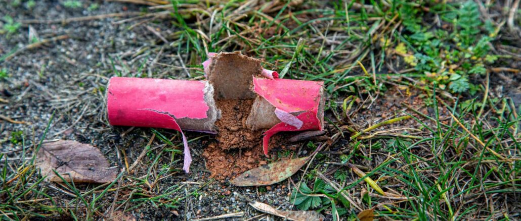 Silvester: WWF fordert Verkaufsverbot von Böllern und Raketen