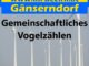 Gemeinschaftliches Vogelzählen