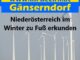 Niederösterreich im Winter zu Fuß erkunden