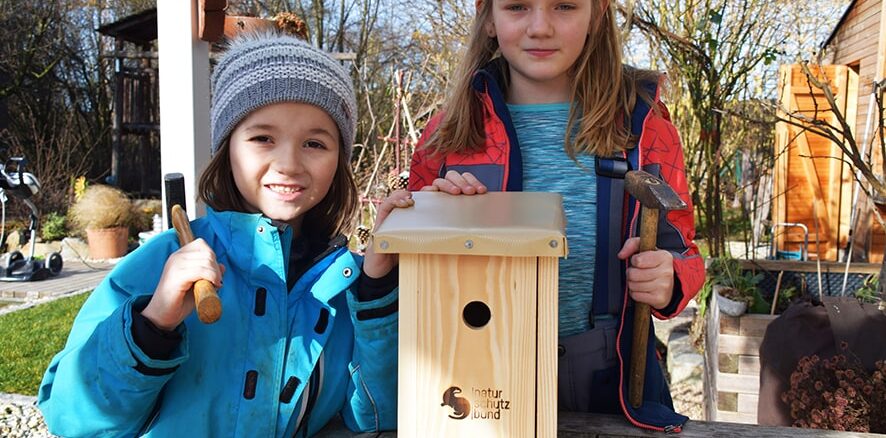 Bald ist Vogelhochzeit – jetzt Nistkästen reparieren und bauen!