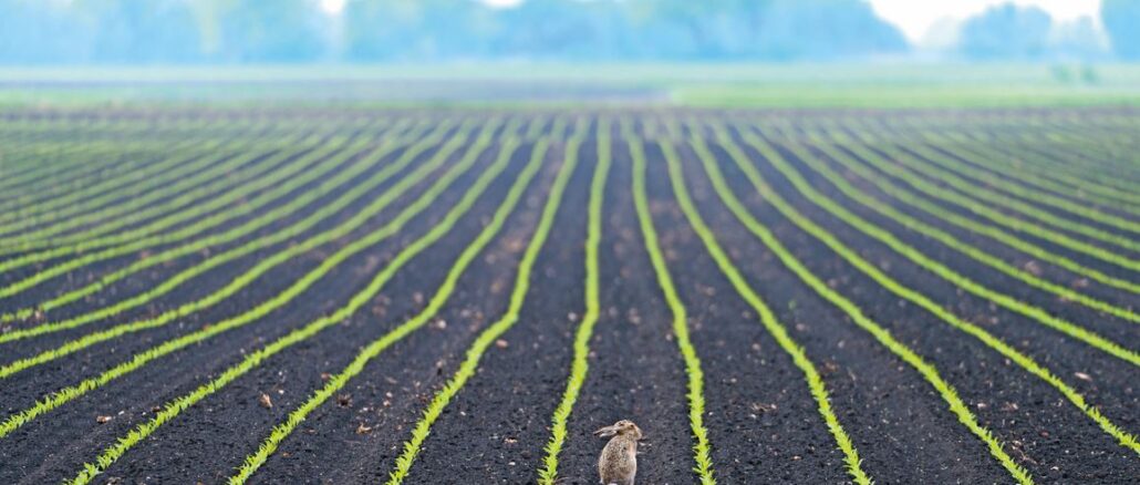 Bodenlos? Der schwindende Schatz unter unseren Füßen