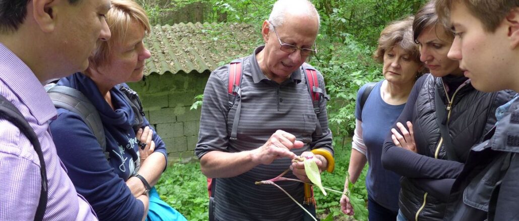 Eintauchen in die Vielfalt der Natur