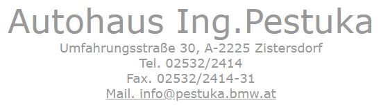 Autohaus Pestuka Autohaus Pestuka