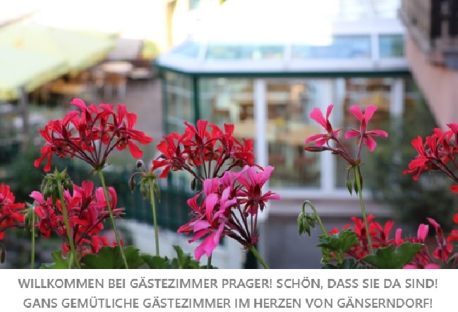 Gasthof Prager Gasthof Prager