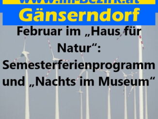 Februar im „Haus für Natur“: Semesterferienprogramm und „Nachts im Museum“