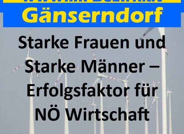 Starke Frauen und Starke Männer – Erfolgsfaktor für NÖ Wirtschaft Starke Frauen und Starke Männer – Erfolgsfaktor für NÖ Wirtschaft