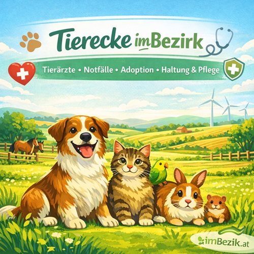 Tierecke im Bezirk