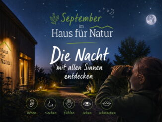 September im „Haus für Natur“: Die Nacht mit allen Sinnen entdecken